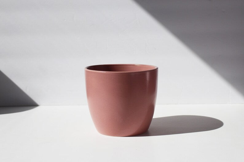
  
  Modern Matte Planter Vase
  
