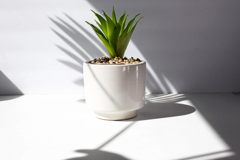 
  
  Modern Round Planter Vase
  
